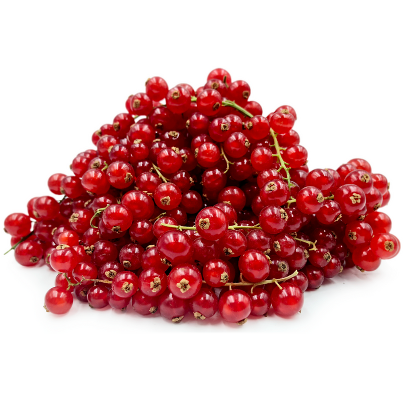 Red Currant Berries 125g x 12 Units London Grocery