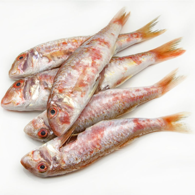 Red Mullet 500gr - London Grocery
