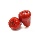 Red Java Apple 5 unit 500gr - London Grocery