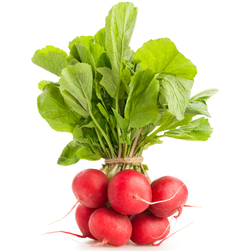 Red Radish 1 pack - London Grocery