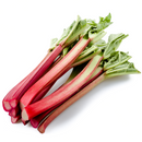 Rhubarb 4 pieces - London Grocery