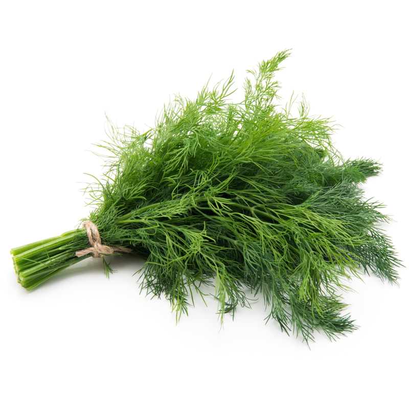Dill 1 bunch - London Grocery
