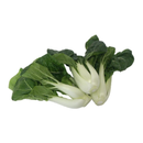 Fresh Spoon Pak Choi 600-700gr-London Grocery