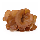 Fresh Thai Jelly Mushroom 100gr-London Grocery