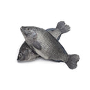 Tilapia L Box 80kg | London Grocery