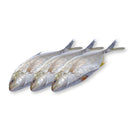 Trevally Box 200kg | London Grocery