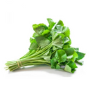 Valara - London Grocery