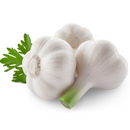 Wet Garlic - London Grocery