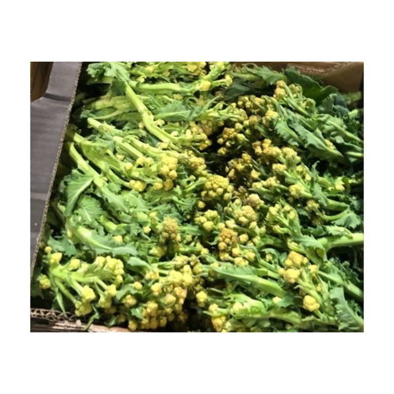 White Sprouting Broccoli - London Grocery