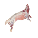 Halal Grass Fed Fresh Whole Baby Goat ~6-9kg - London Grocery