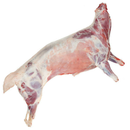 Halal Grass Fed Fresh Whole Goat ~30-40kg - London Grocery