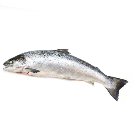 Buy Whole Salmon Online with London Grocery