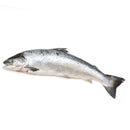 Buy Whole Salmon Online with London Grocery