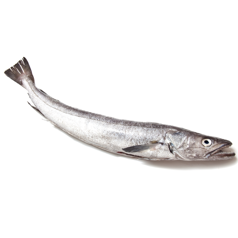 Freshly Frozen Whole Silver Hake Fish | 1 Unit - London Grocery