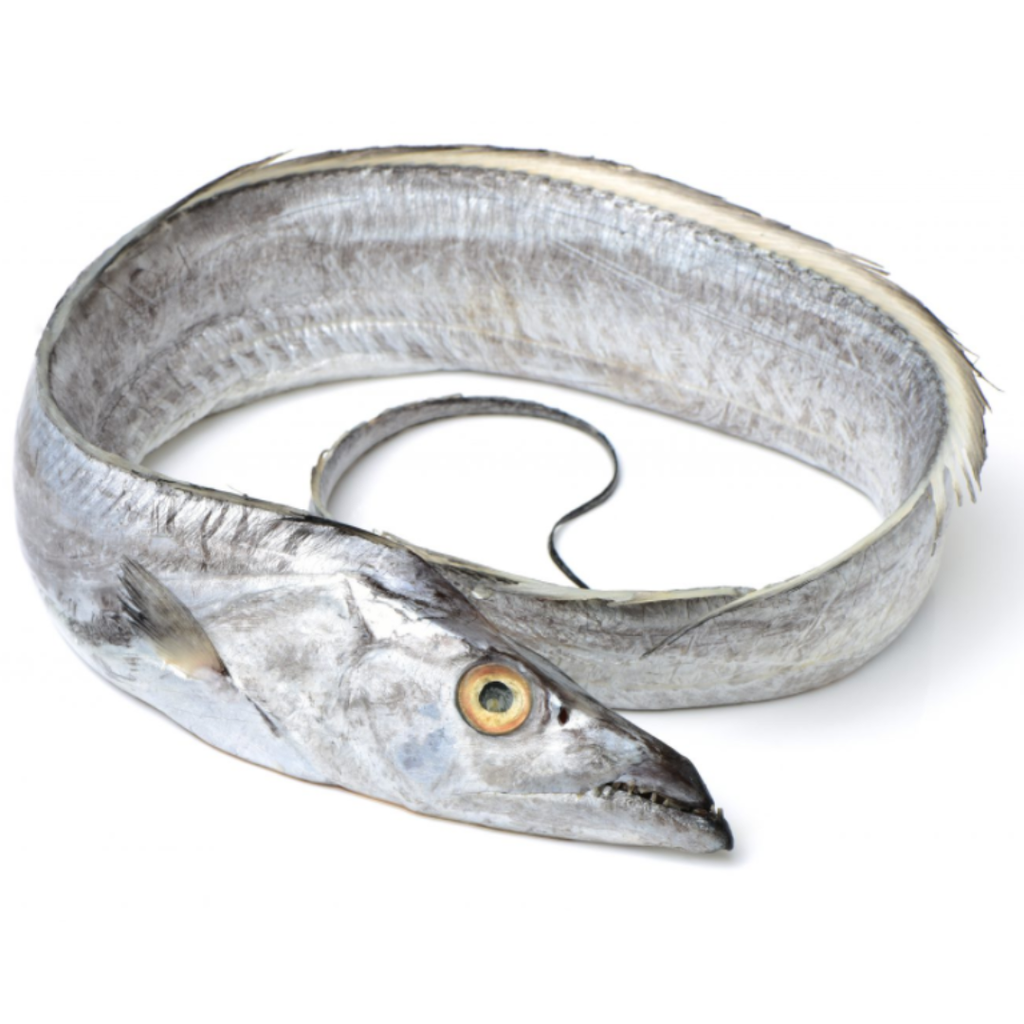 Buy Freshly Frozen Whole Silver Ribbon Fish | 1 Unit | London Grocery
