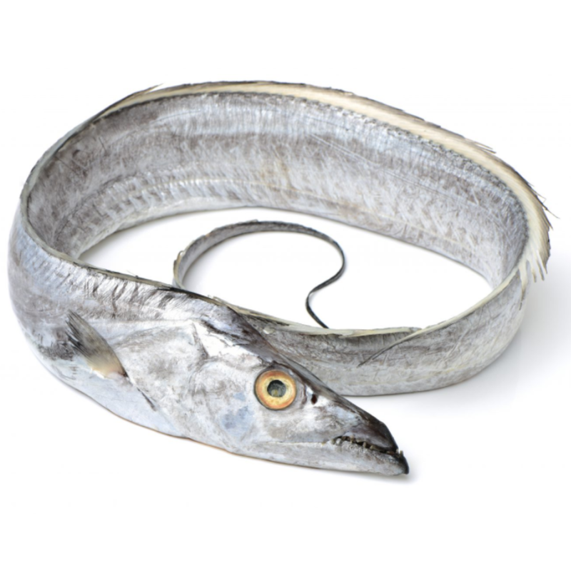 Freshly Frozen Whole Silver Ribbon Fish | 1 Unit - London Grocery