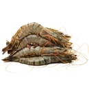 Fresh Wild Tiger Prawns | 1kg - London Grocery