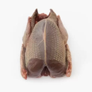 Halal Freshly Frozen Pigeon 2 Pack ~700gr - London Grocery