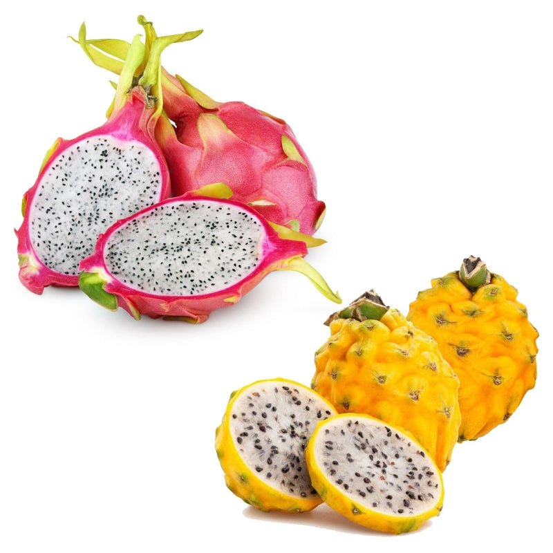 Dragon Fruit Exotic & Tropical Fruits Hamper | 6 Fruits | London Grocery