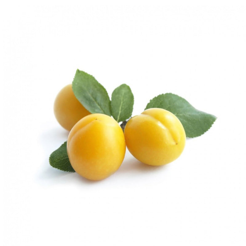 Yellow Plums 8 Units-London Grocery
