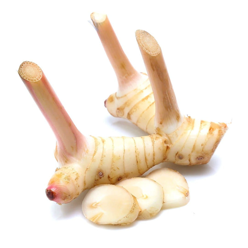 Fresh Young Galangal 200gr-London Grocery