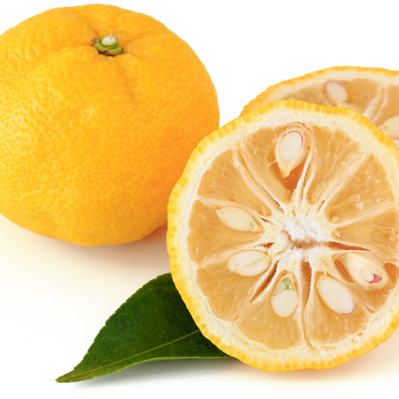 Yuzu 1.2kg | Japanese Citrus Fruit | Citrus Junos | 柚子 - London Grocery